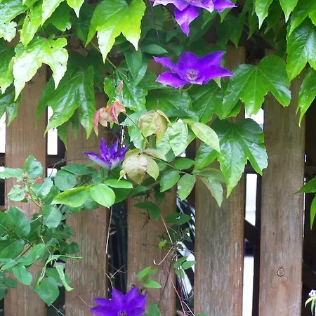 公寓 Heinrichseck *